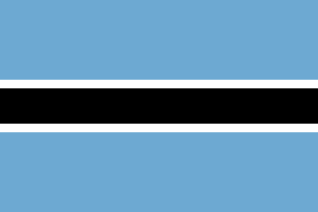 Botswana process services