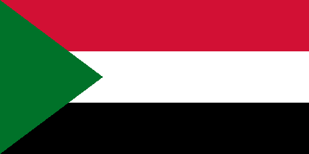 Sudan process services